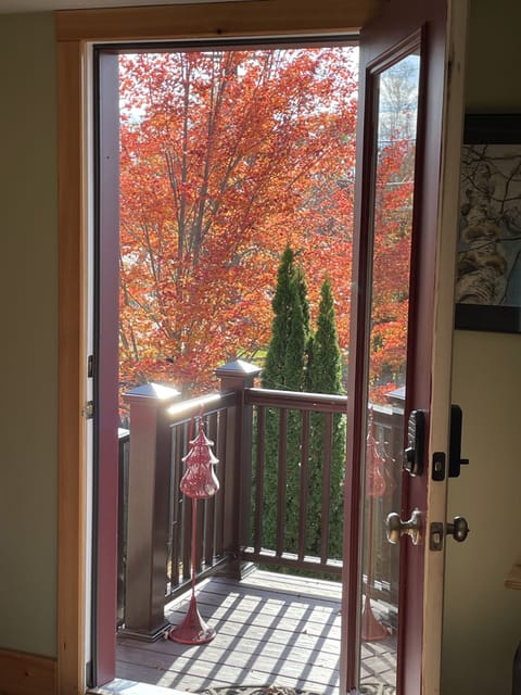 Autumn view just outside the studio door.