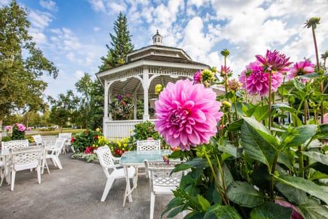 Outdoor wedding area