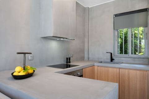 Apartment | Private kitchen | Fridge, microwave, oven, stovetop