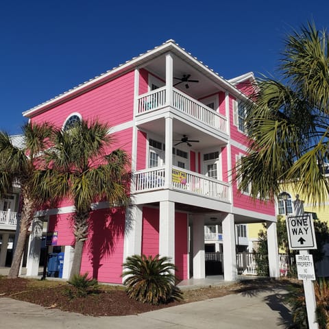 The Pink Flamingo