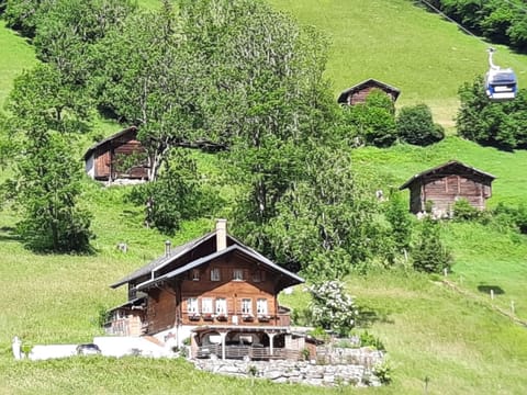 Outdoor