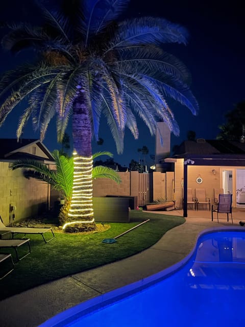 New pool light make the yard Pop with color! 