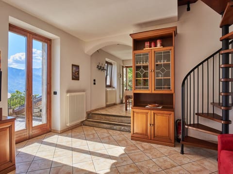 Plant, Cabinetry, Window, Houseplant, Building, Wood, Door, Interior Design, Architecture, Wood Stain