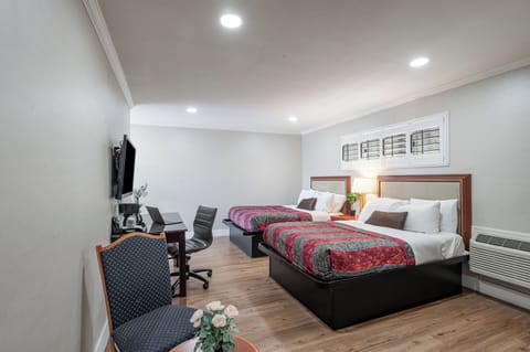 Deluxe Double Room | Desk, blackout drapes, iron/ironing board, free WiFi