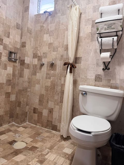 Deluxe Room, 1 King Bed | Bathroom | Shower, free toiletries, hair dryer, towels