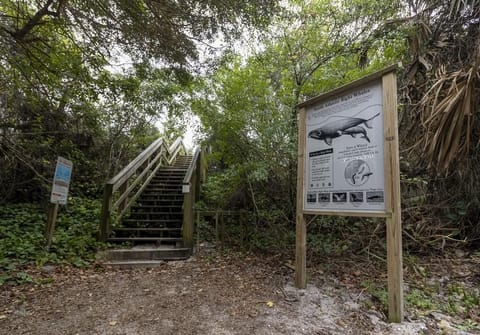 Tarpon Run 35 - Beach Access