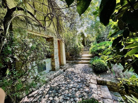 Upper Entrance to Serenity