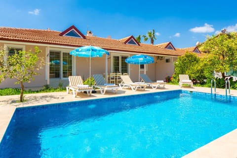 Beautiful villa with private pool, terrace, and garden