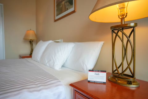 Room, 1 King Bed | Premium bedding, soundproofing, iron/ironing board, free WiFi