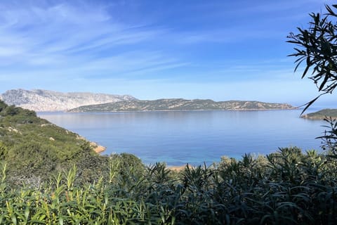 SEA VIEW FROM THE TERRACE / GARDEN - ISLAND OF TAVOLARA & ISLAND OF MOLARA