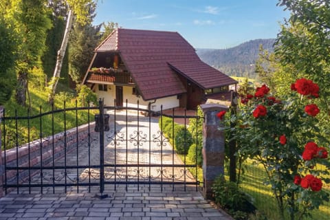 View from the gates