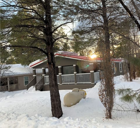Cozy winter cabin surrounded by tall pines.