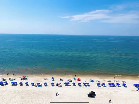 Views from the balcony! Wait until you hear the Gulf of Mexico. So beautiful.