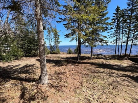 Lake view from the house