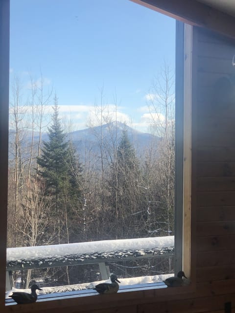 3 Season Views of Whiteface Mountain in the distance
