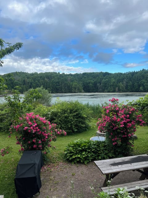 Backyard lake view