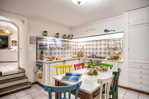 country-lemonvilla-massa-lubrense-villa-kitchen