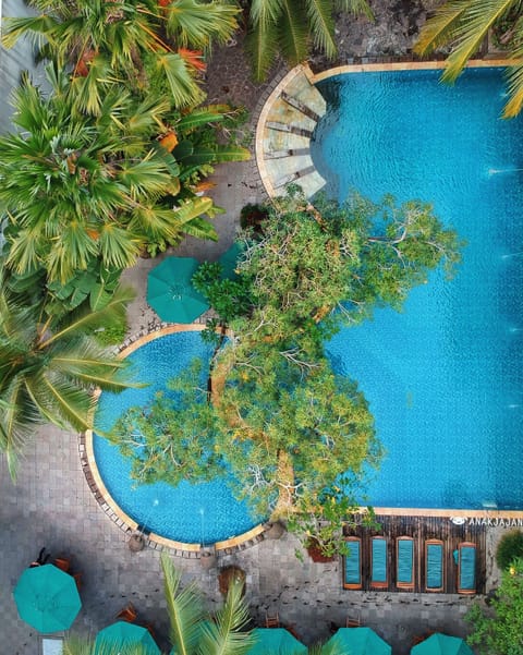Outdoor pool, sun loungers