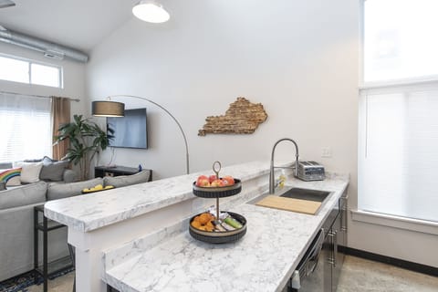 Kitchen bar top and oversized sink with disposal.