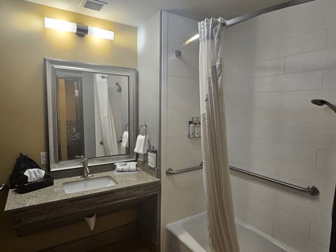 Combined shower/tub, free toiletries, hair dryer, towels