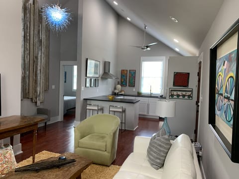 Modern Carriage House Living/Kitchen area