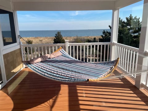 peaceful hammock views