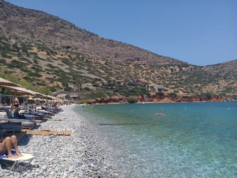 House | Property grounds