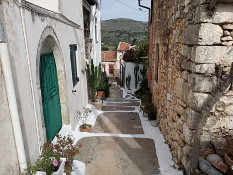 House | Property grounds