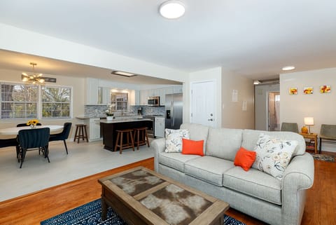 Open living room and kitchen