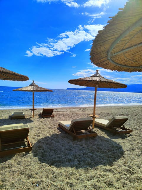 On the beach, sun loungers, beach umbrellas, beach towels