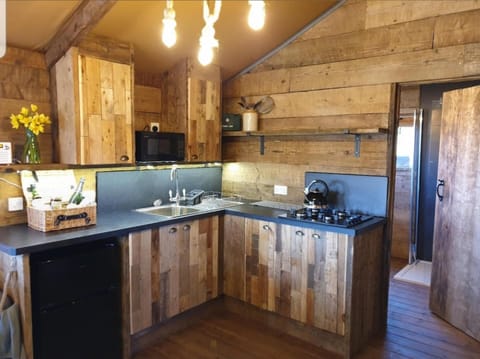 House | Private kitchen | Fridge, microwave, oven, stovetop