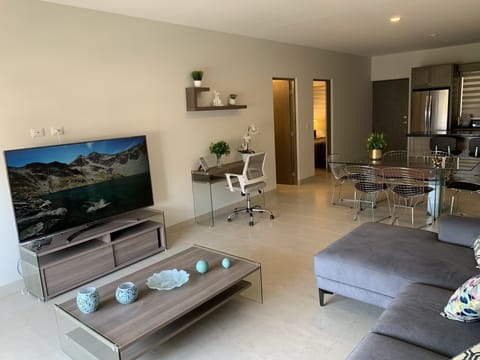 Living room with 65 inch TV