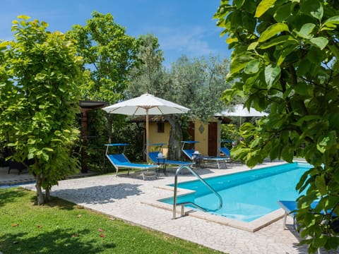 Plant, Azure, Water, Botany, Shade, Outdoor Furniture, Tree, Sky, Swimming Pool, Leisure