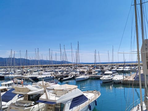 Marina