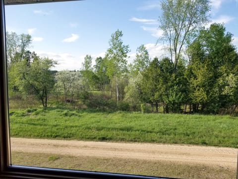 View from the bedrooms