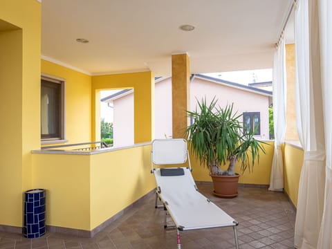 Plant, Building, Property, Furniture, Houseplant, Flowerpot, Window, Wood, Architecture, House