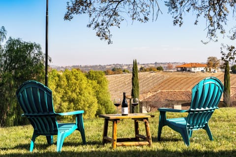 Sip wine beside rows of vines and open sky