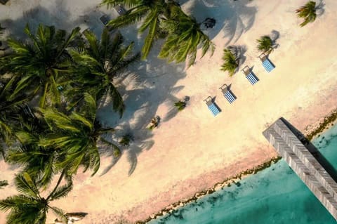 Beachfront Bliss! Wake up to the gentle sounds of waves and the fresh sea breeze in this beachfront villa. With direct access to the sandy shores, every moment becomes an opportunity to savor the joys of coastal living.
