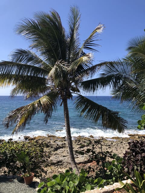 View from your patio !
Direct on the Caribbean Sea 