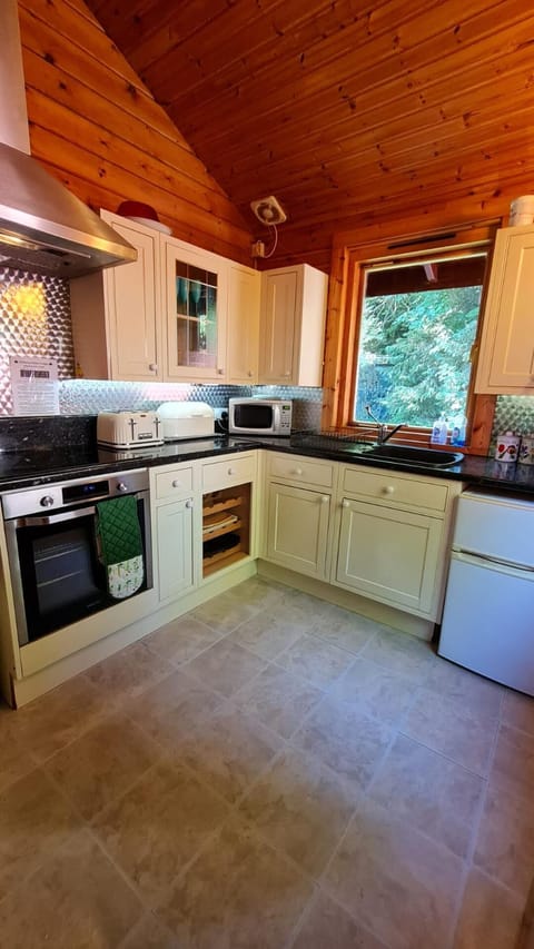 Cabin | Private kitchen | Fridge, microwave, oven, stovetop