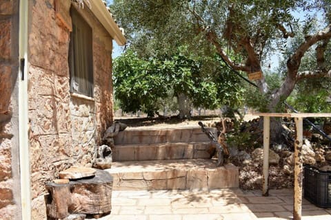 Cottage | Property grounds