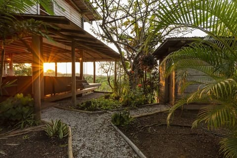 Sunset at Villa Zen is a spectacle that lights up the entire property and surrounding jungle