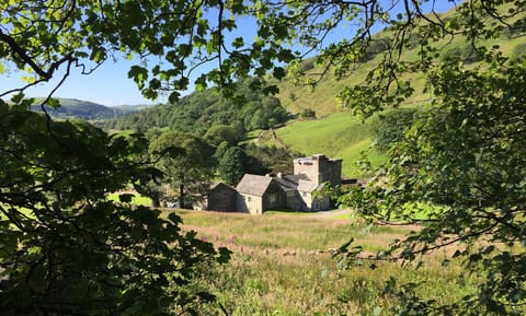 Cottage | Property grounds