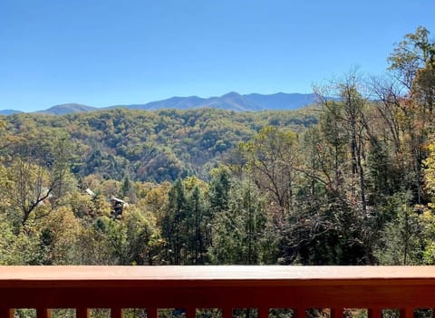 Gorgeous Great Smoky Mountain Views!