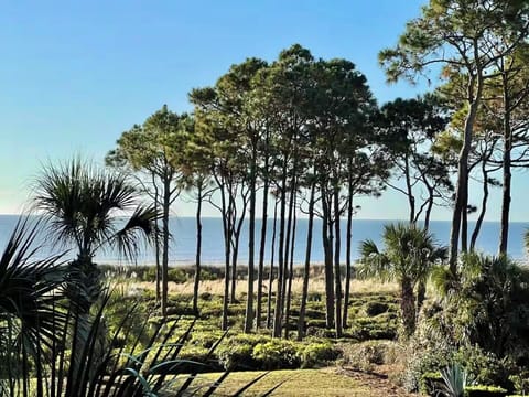 View - View of the ocean from the balcony