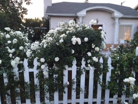 elegant white cottage