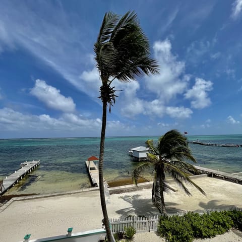 the Caribbean Sea