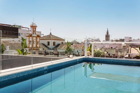 Outdoor pool, sun loungers