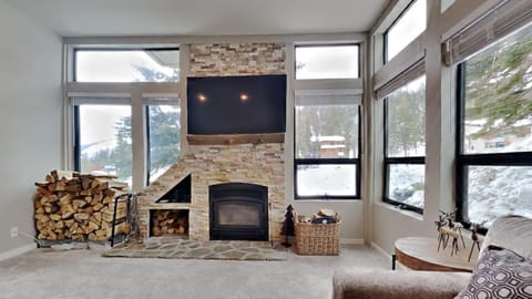 wood burning fire place