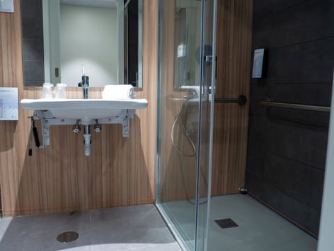 Hair dryer, towels, shampoo, toilet paper